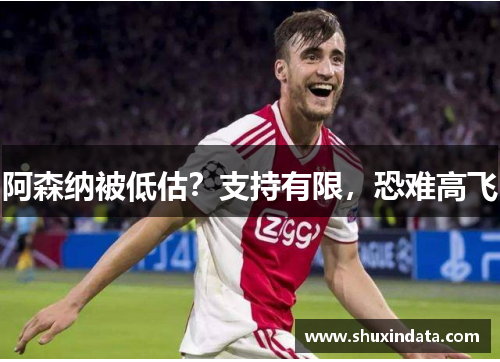 阿森纳被低估？支持有限，恐难高飞