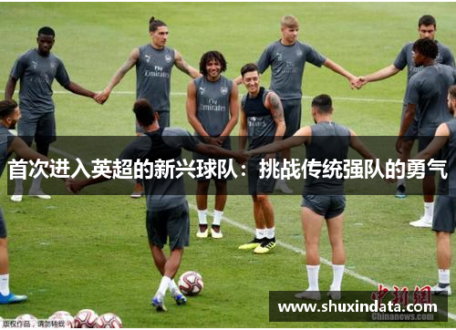 首次进入英超的新兴球队：挑战传统强队的勇气