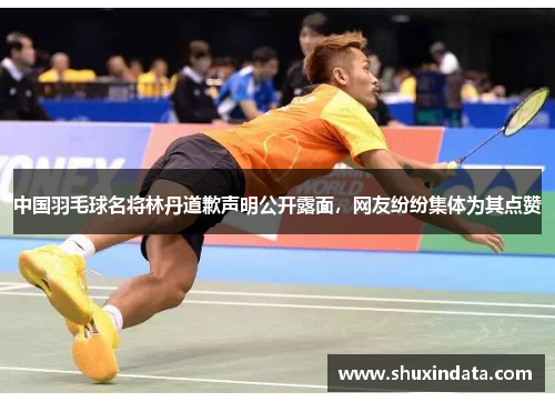 中国羽毛球名将林丹道歉声明公开露面，网友纷纷集体为其点赞